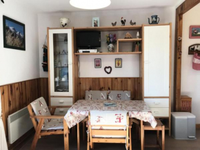 Résidence Le Grand Adret - Charmant deux pièces proche centre MAE-3994